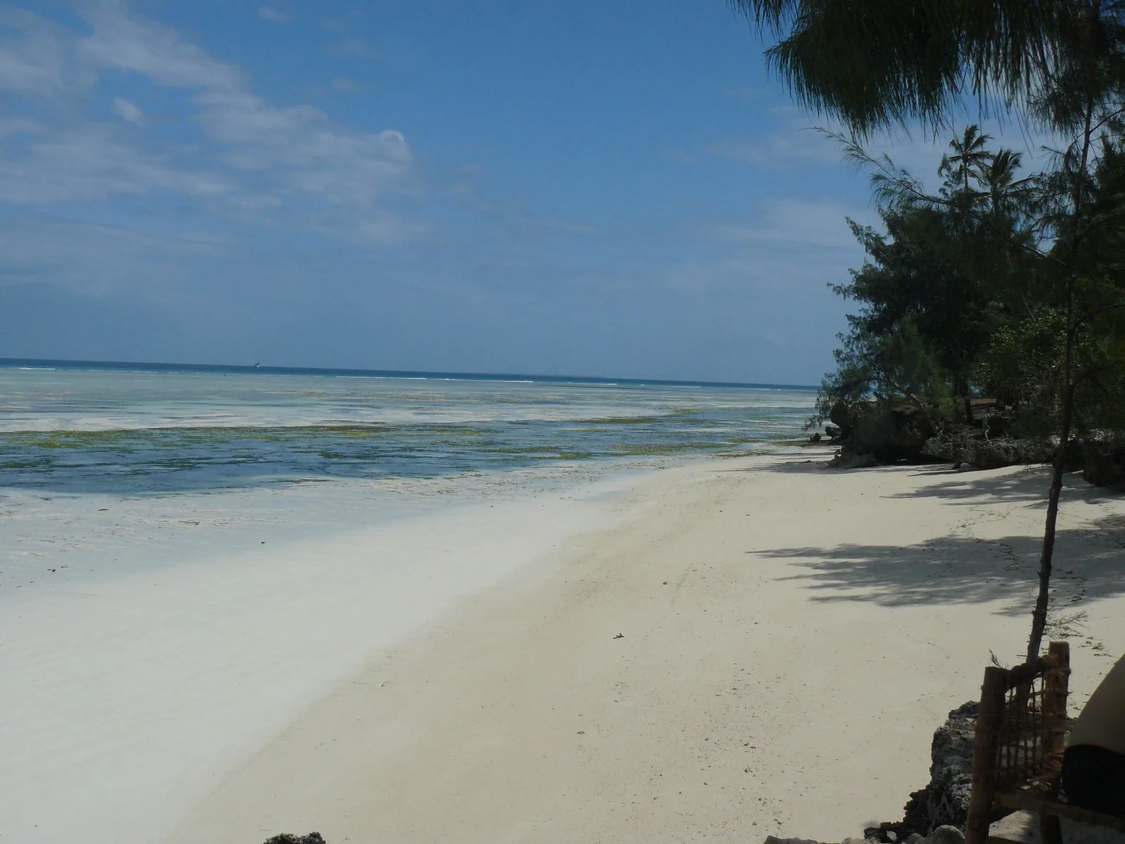 Best eSIM for Zanzibar (2026)