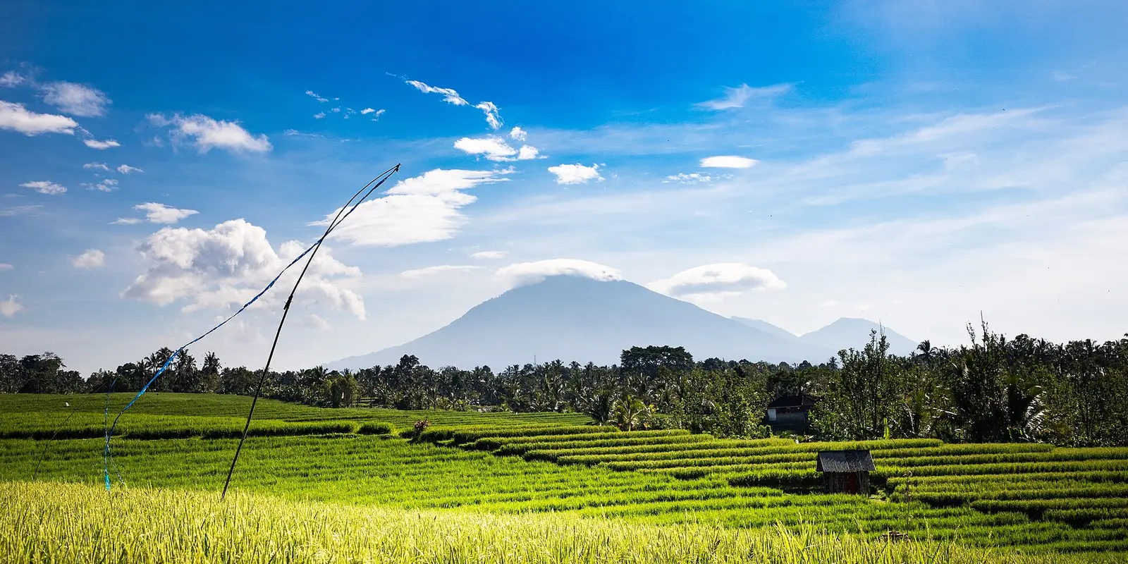 Bali Tourist Levy: Official Payment, Visa and Arrival Guide