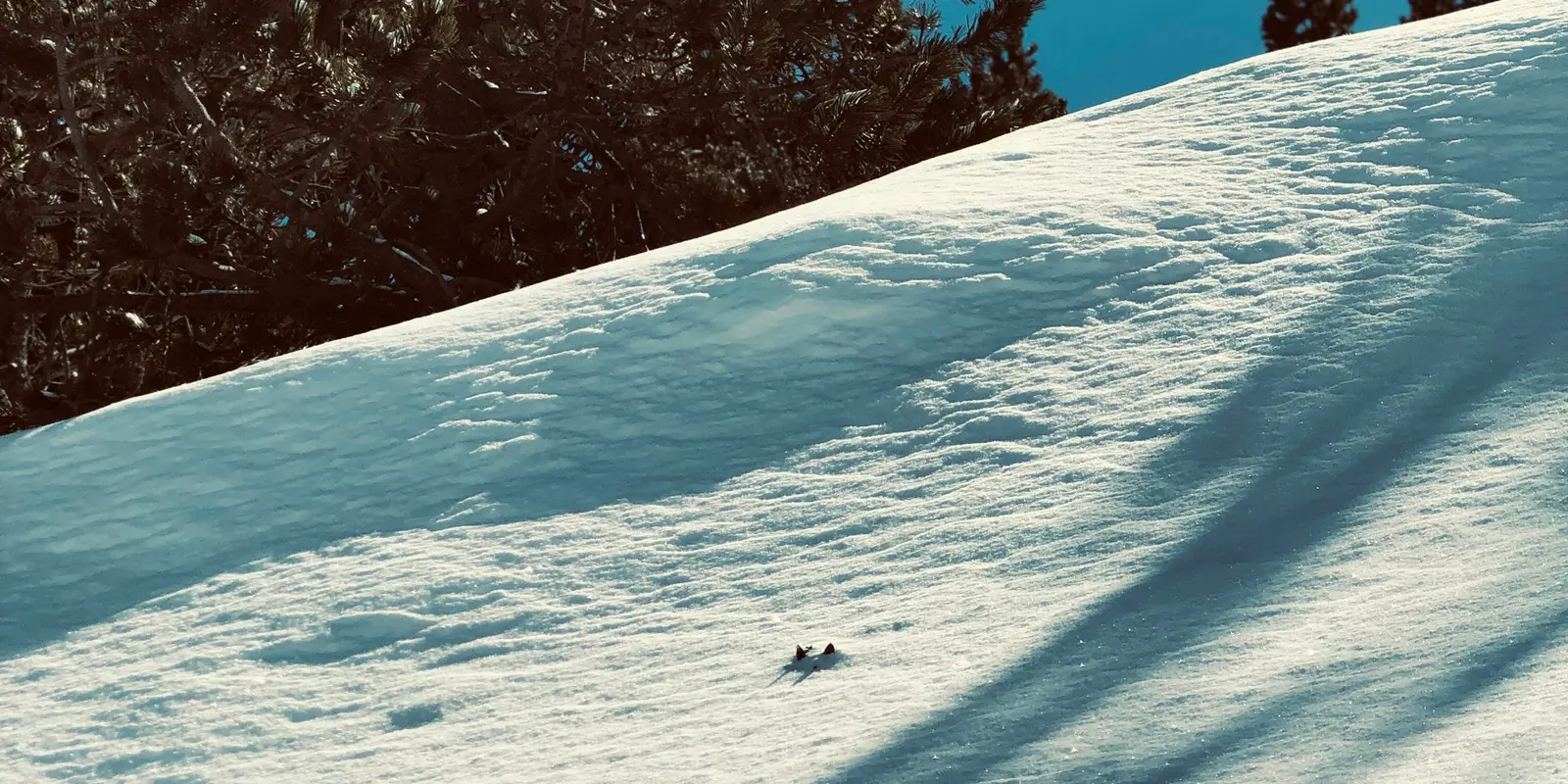Meilleur eSIM pour Andorre (2026) : Forfaits, Réseau, Installation