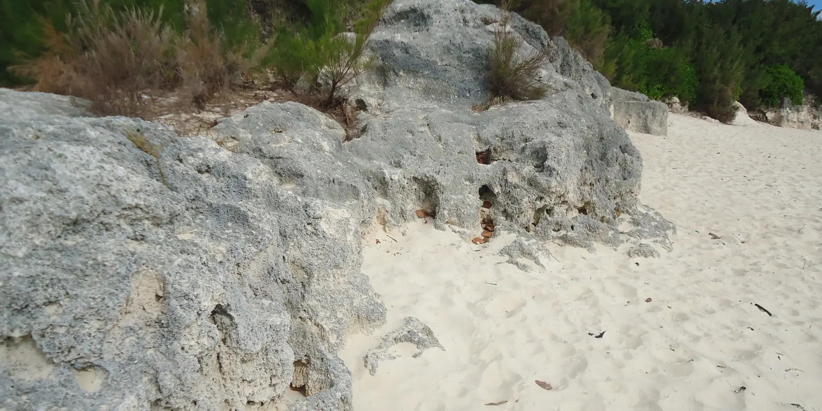 Bermuda coastline and pink-sand beach
