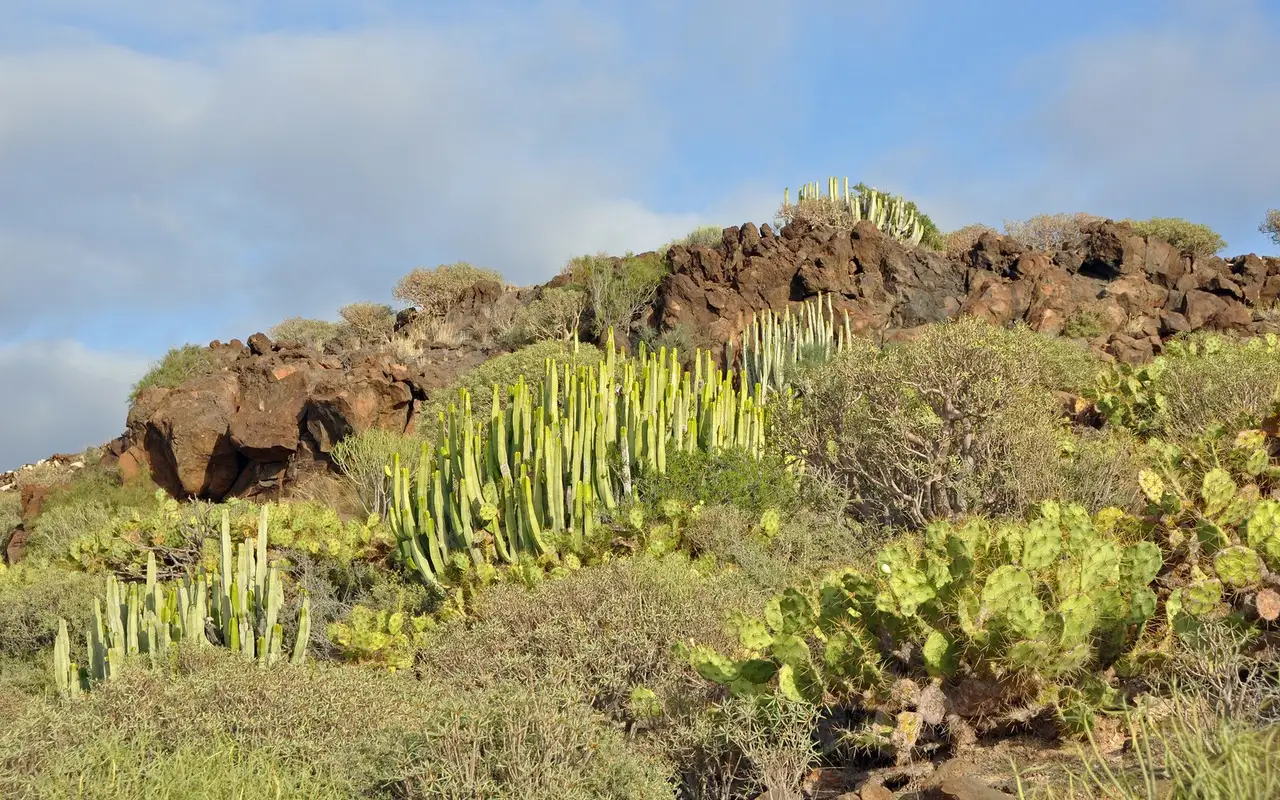 Southern Tenerife: terrain matters when checking reception. Volcanic landscape in southern Tenerife