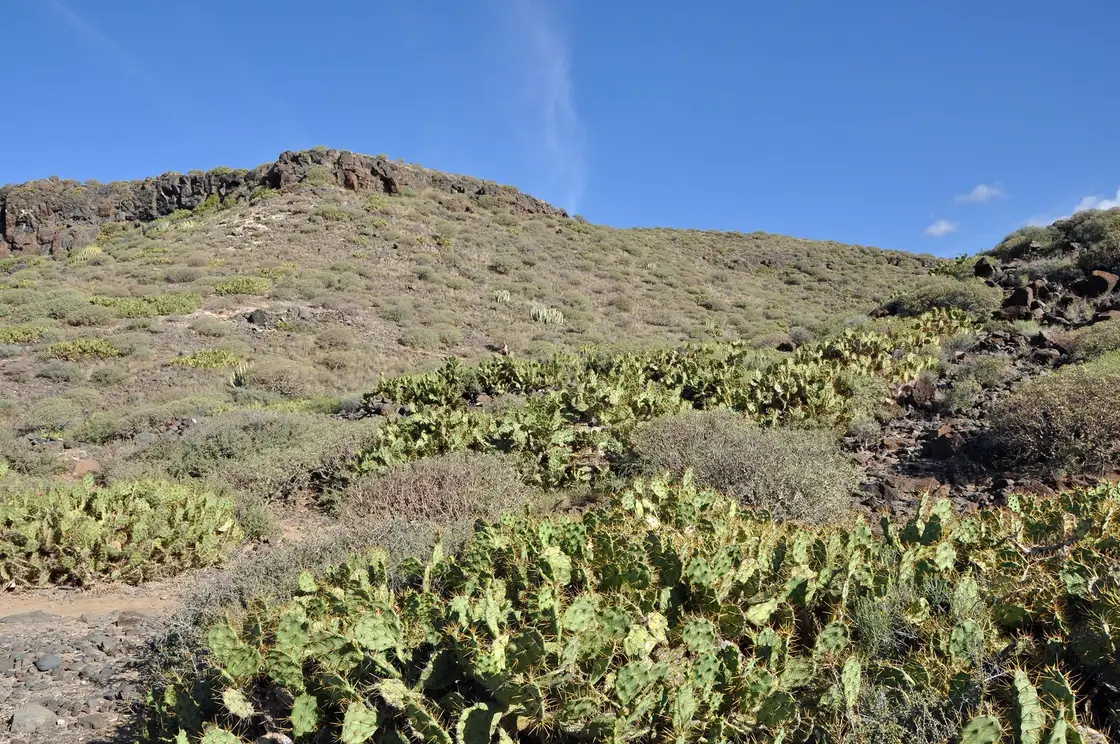 La Caleta, Tenerife: check the accommodation location rather than a mainland speed result. Dry terrain and vegetation near La Caleta on Tenerife