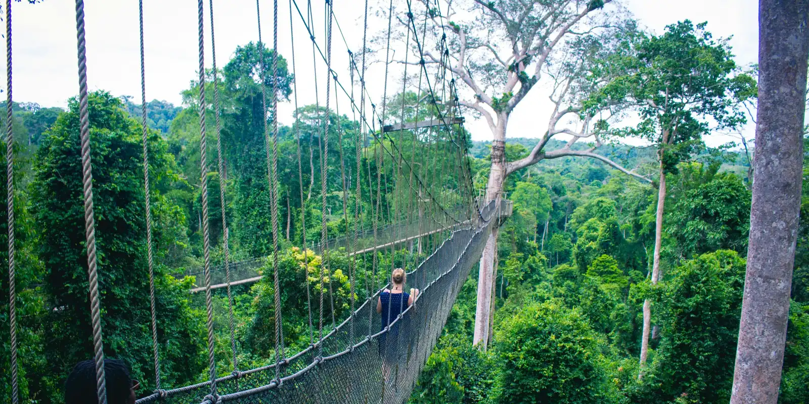 Canopy walkway through Kakum National Park near Cape Coast, Ghana