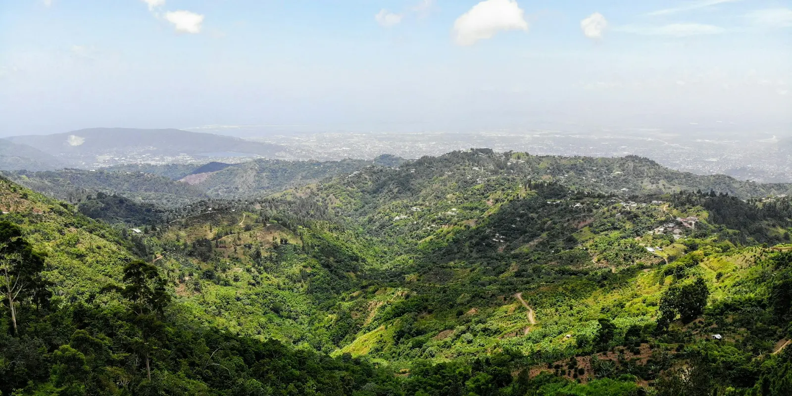 Green mountain ridgeline under blue sky in Jamaica's Blue Mountains