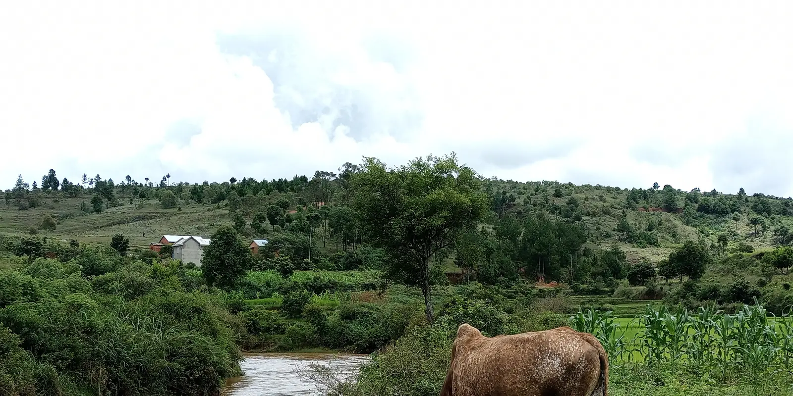 Enregistrez l'étape suivante avant de quitter une connexion fiable Paysage rural le long de la RN7 à Madagascar