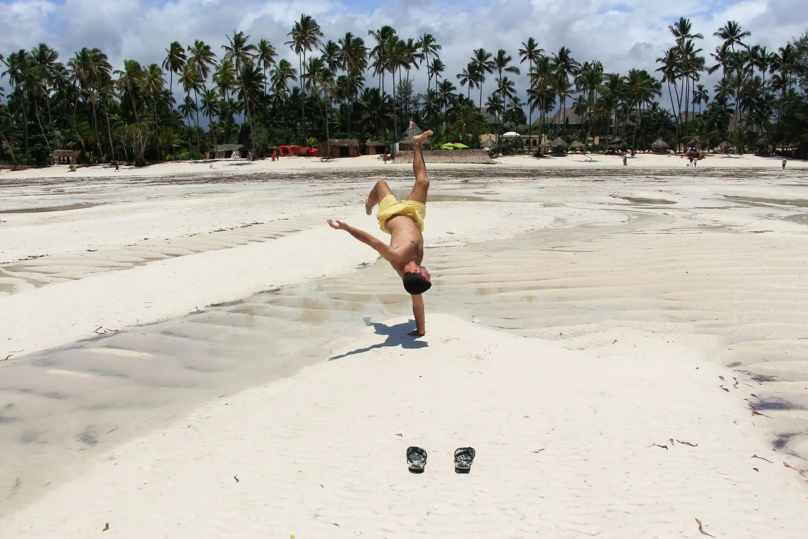 Keep excursion details offline before leaving a dependable connection. Low-tide coastal scene in Zanzibar