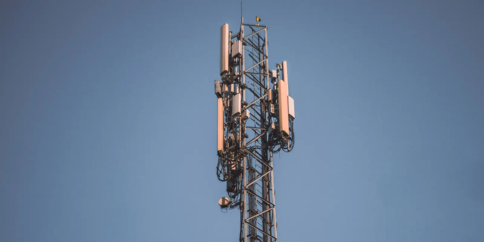 Cell tower against a clear sky — the local network infrastructure behind every eSIM plan