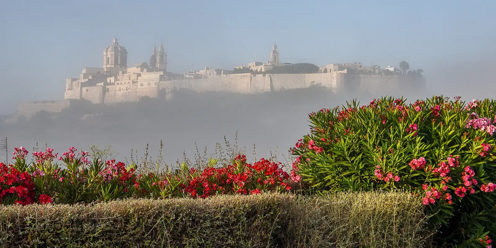 Valletta harbour and limestone bastions in late afternoon light