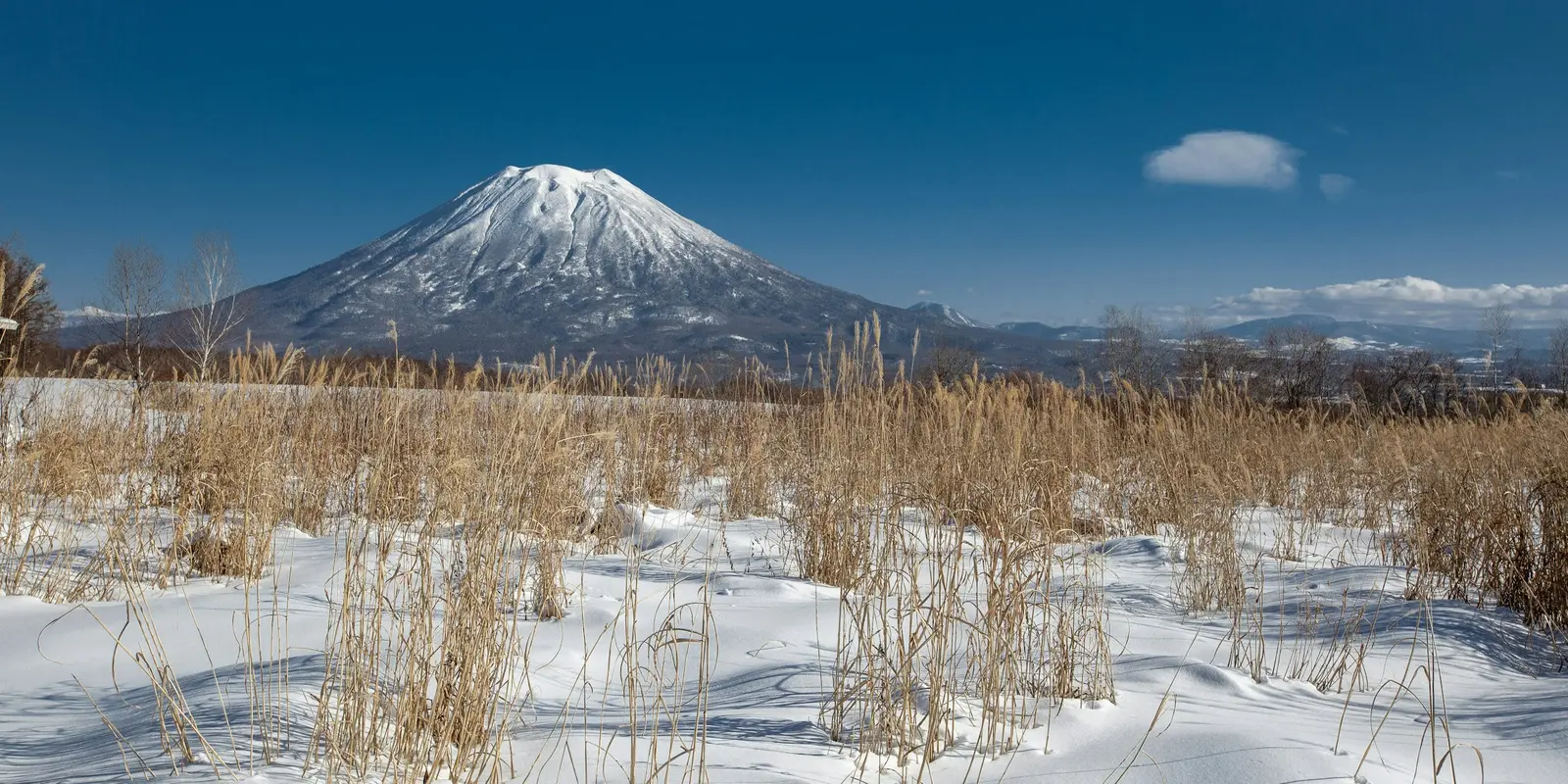 北海道ニセコの雪山と冬の草原