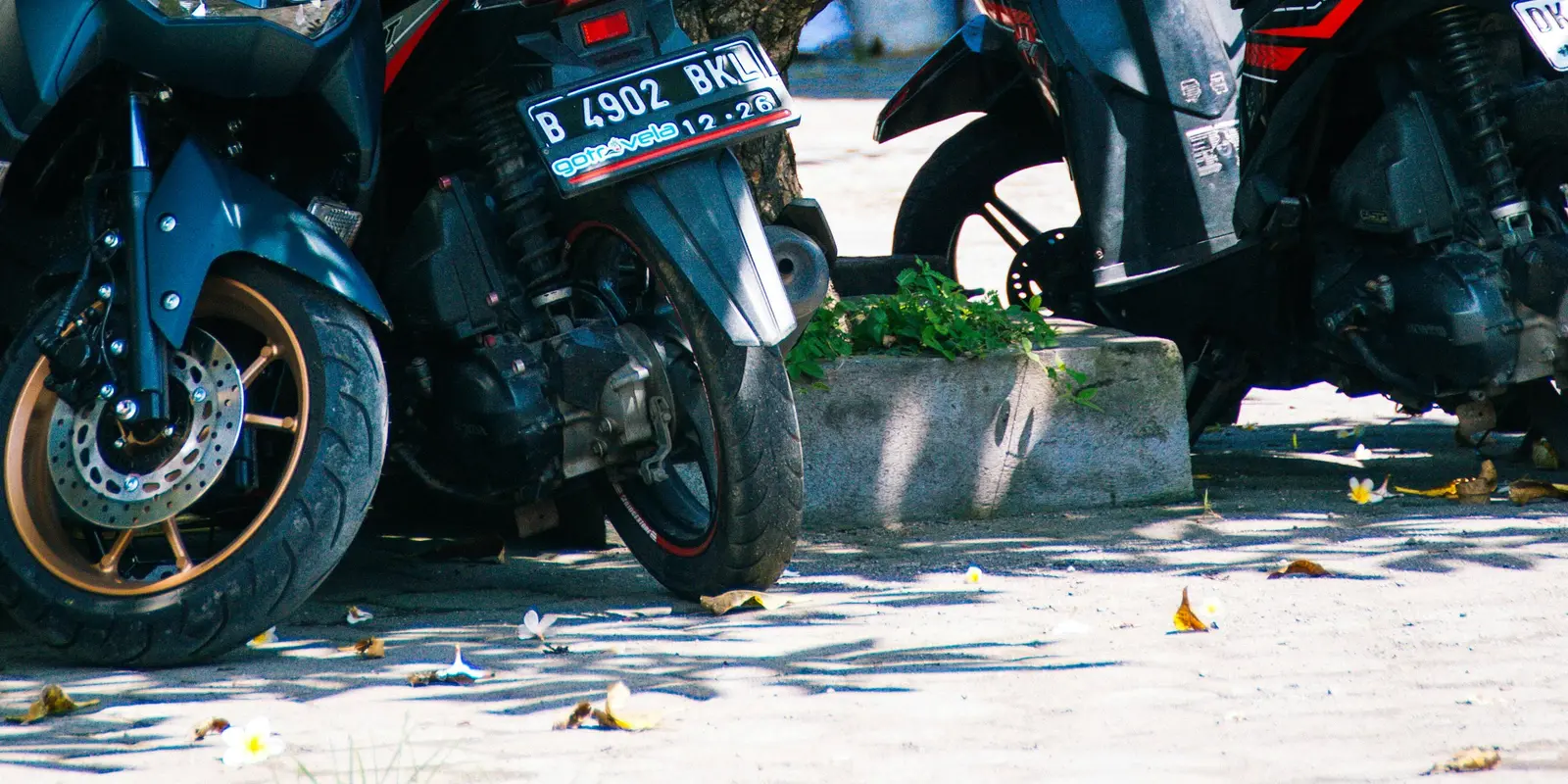 Motorbikes parked near a tree in Kuta, Bali