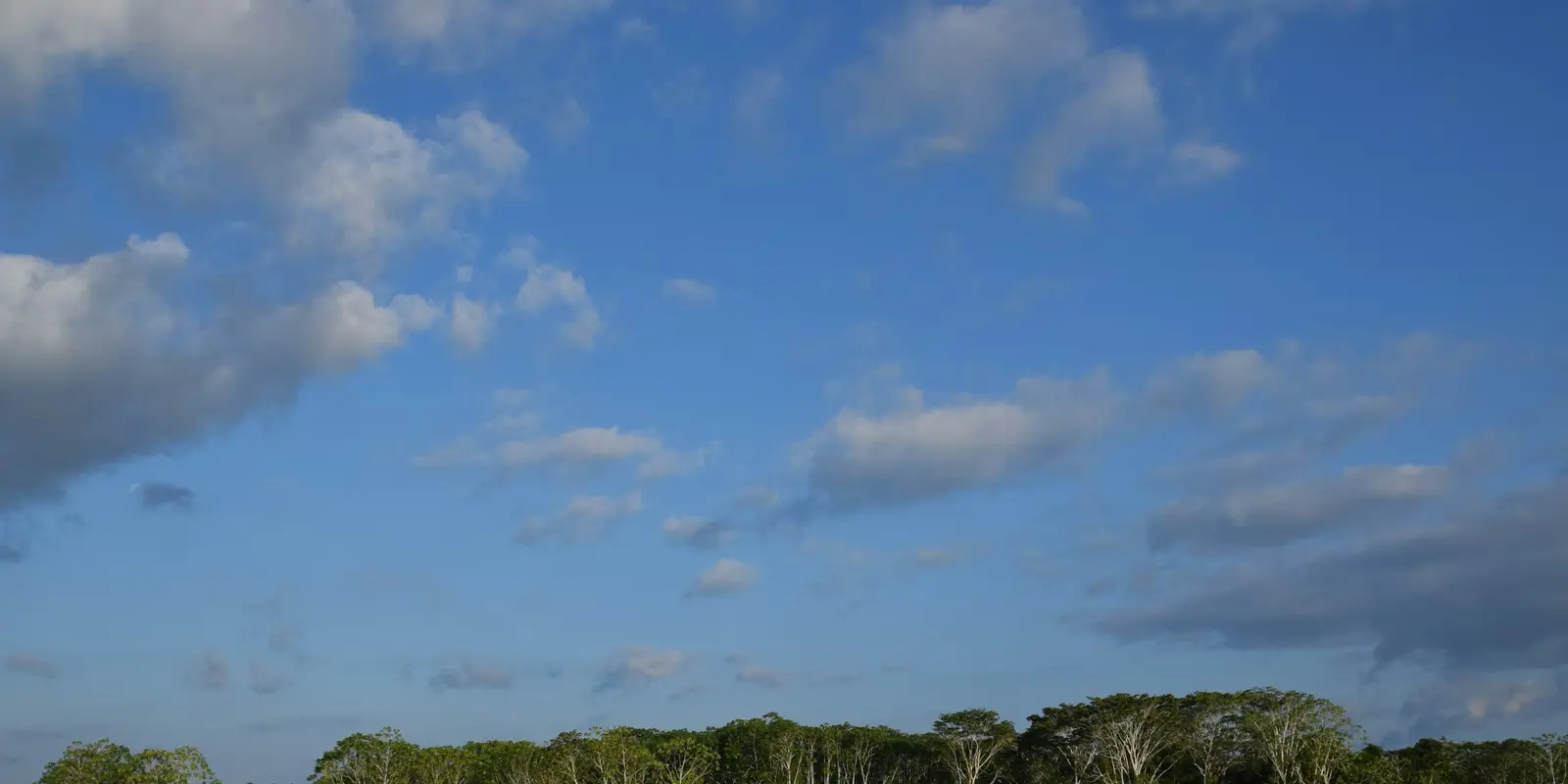 A wide river flowing past dense Amazon rainforest under a blue sky, typical of the Tambopata and Madre de Dios region near Puerto Maldonado