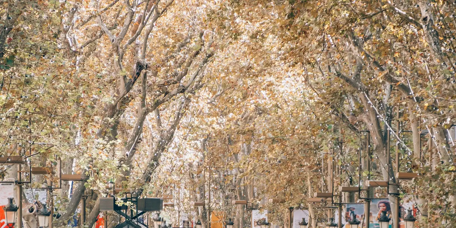 A busy street in Barcelona, Spain, lined with buildings and pedestrians