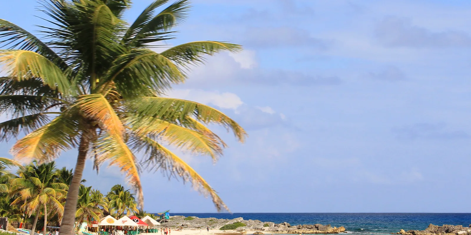Palm trees and beach on the east coast of Cozumel
