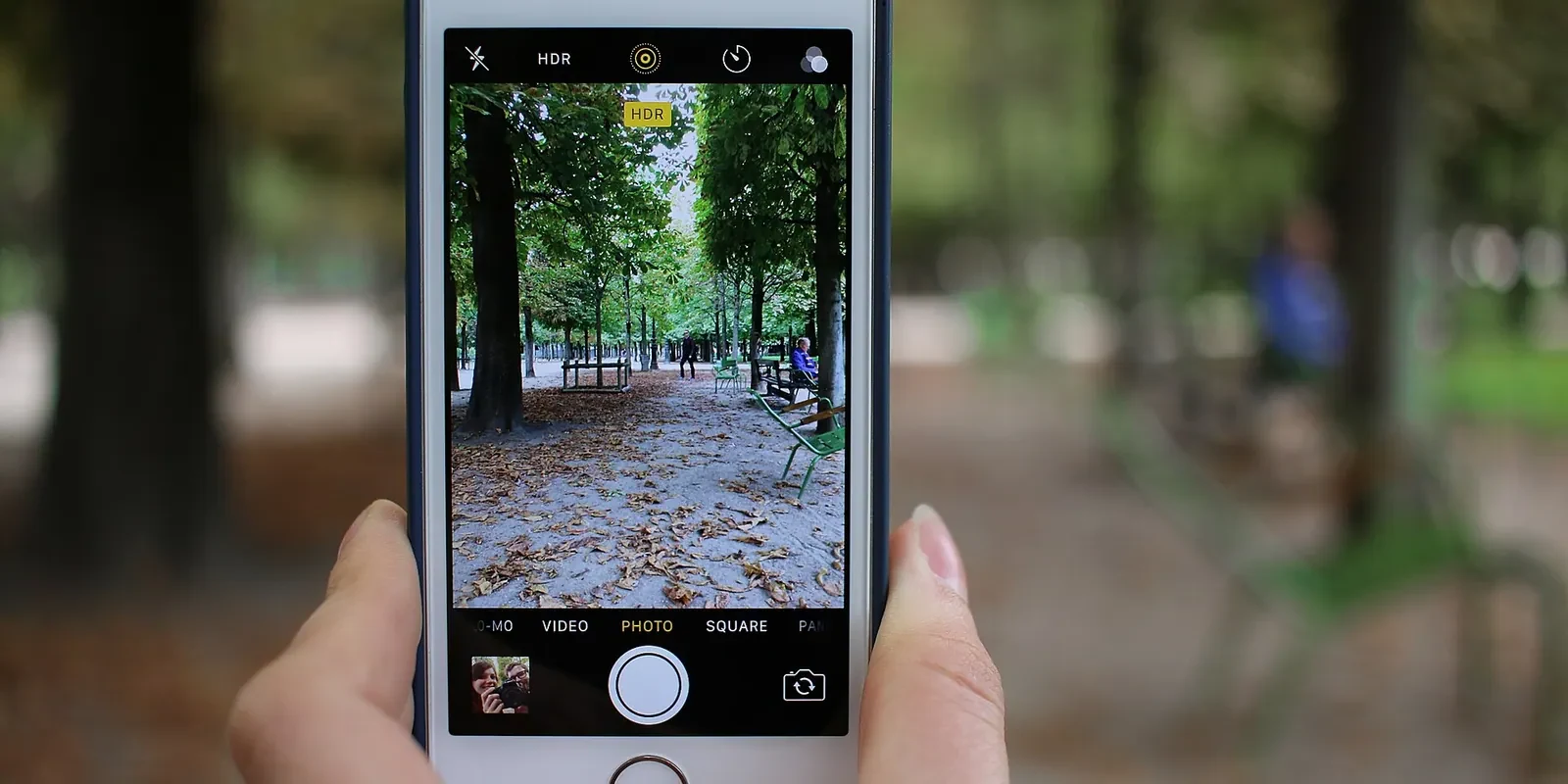 Des mains utilisent l’appareil photo d’un smartphone pour photographier une allée dans un parc.