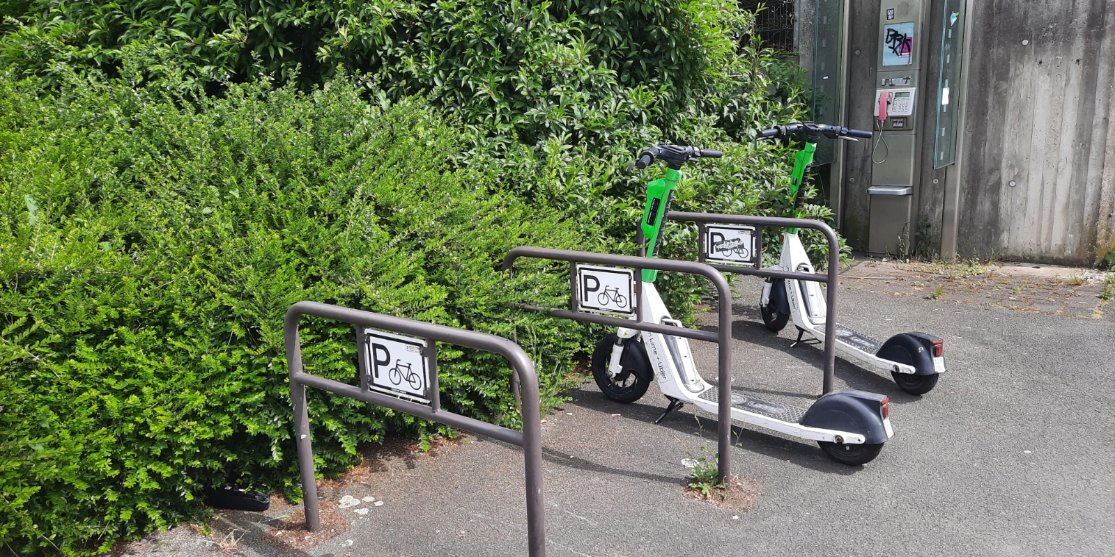 Des trottinettes électriques partagées près d’arceaux à vélos et de végétation.