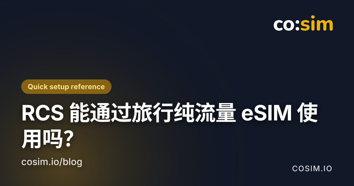 使用旅行 eSIM 连接 RCS 的双 SIM 设置