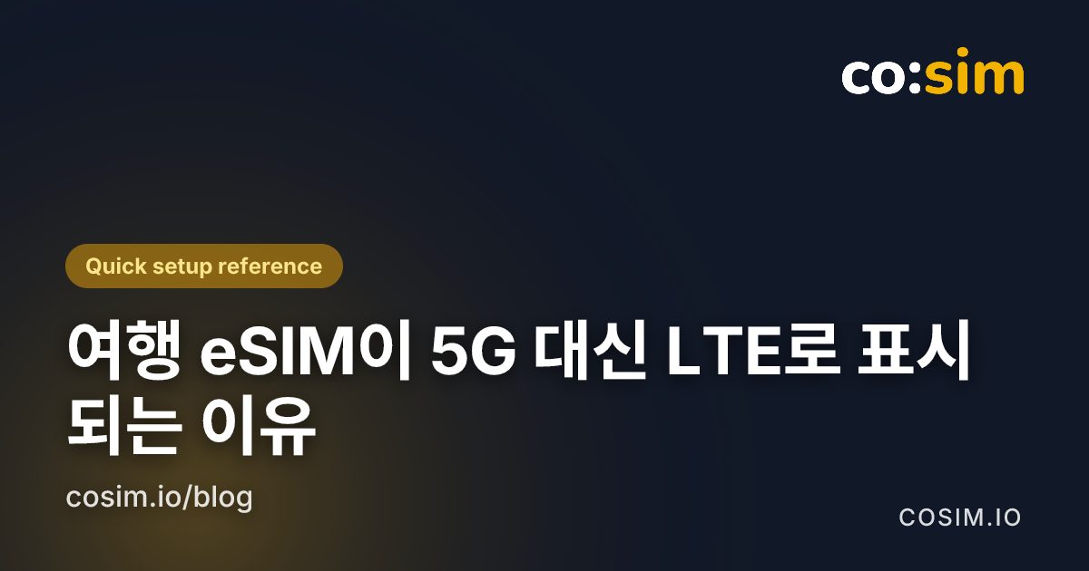 여행 eSIM이 LTE로 표시될 때 점검 항목