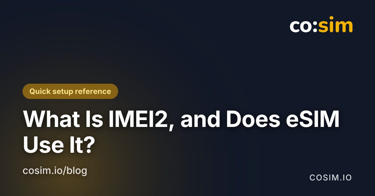 Phone settings screen showing where device identifiers like IMEI and IMEI2 appear